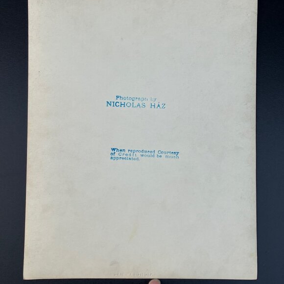 Vintage Art Nouveau Female Performer 8 x 10 Photograph by Nicholas Ház - Picture 10 of 16